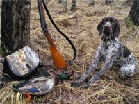 План мероприятий по охотничьему собаководству 2016