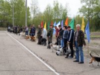 Иркутская городская выставка лаек, 13 мая 2018 г., стадион "Динамо"