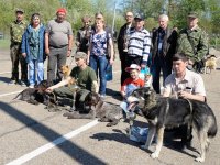 Иркутская городская выставка охотничьих собак. Итоги